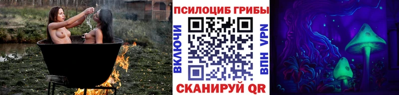 купить наркотики цена  Усмань  Псилоцибиновые грибы Psilocybine cubensis 